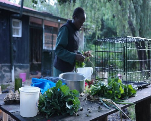 Fresh Kenyan vegetables and ingredients prepared for cooking