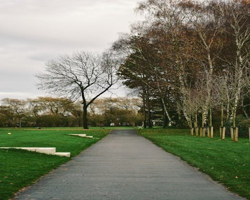 A peaceful view of a park path