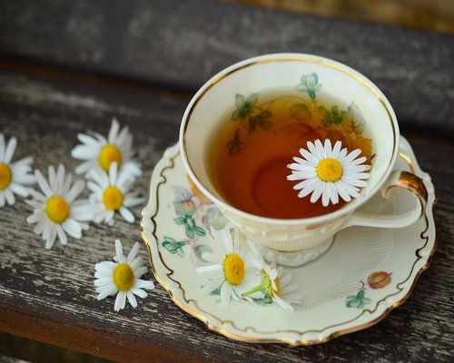 Herbal tea ingredients laid out simply